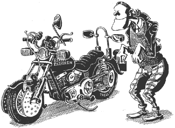 Image2.gif (31515 bytes)